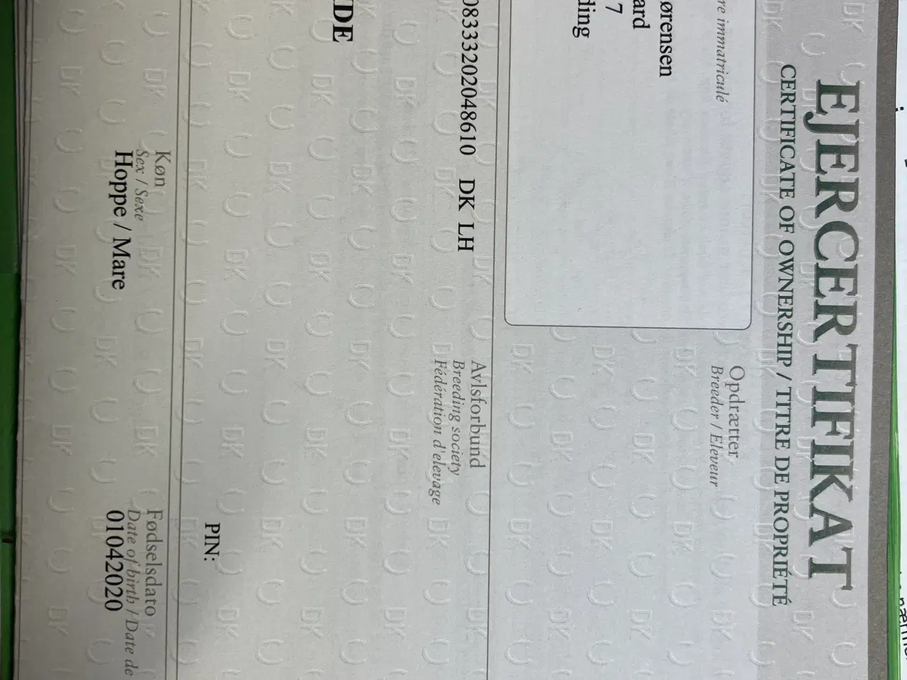 Billede 2 - Æsel hoppe