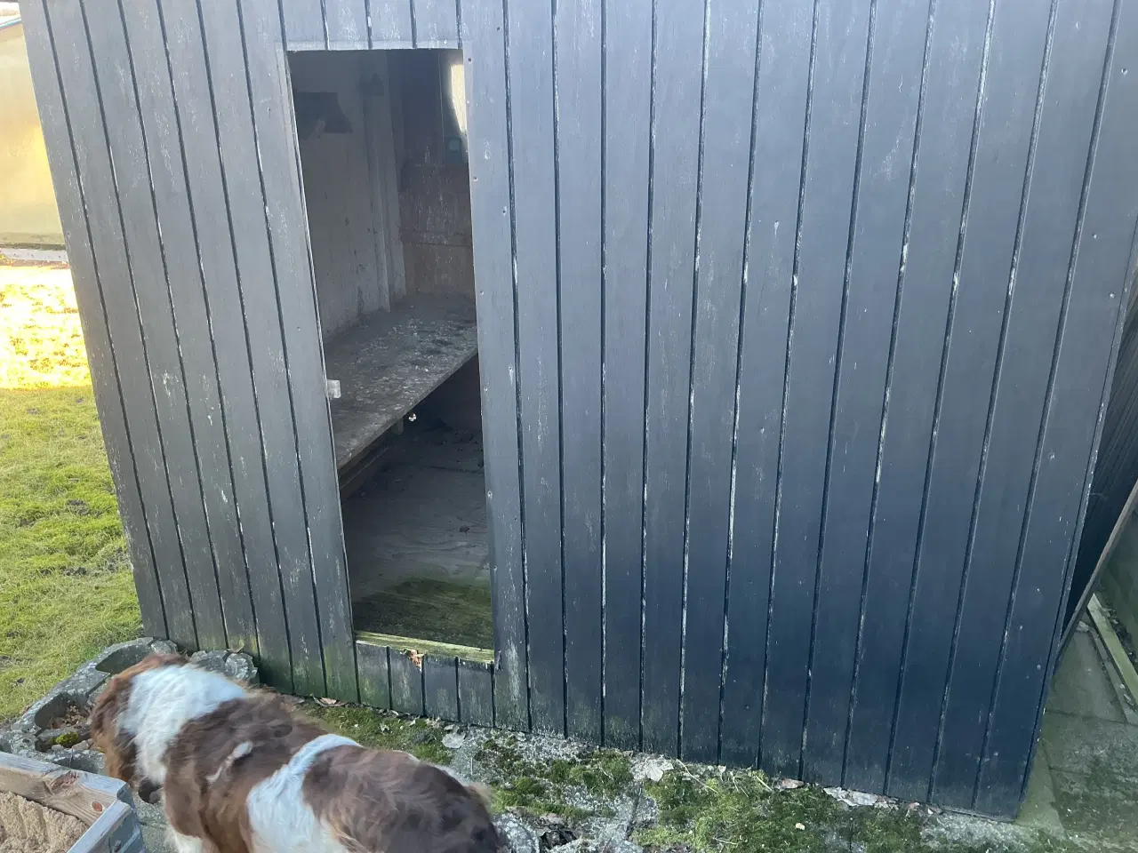 Billede 1 - Due/hønsehus ( gratis)