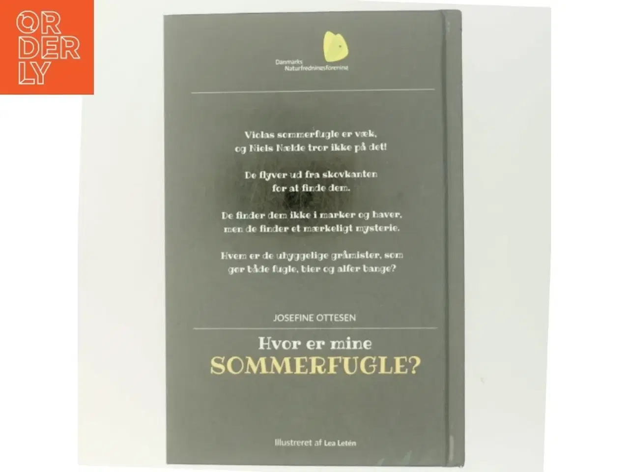 Billede 3 - Hvor er mine sommerfugle? Bog