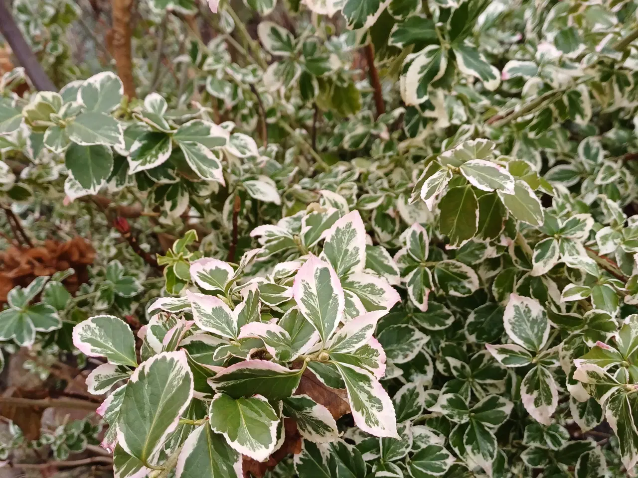 Billede 4 - Dekorationsmateriale til krukker, kranse mm.