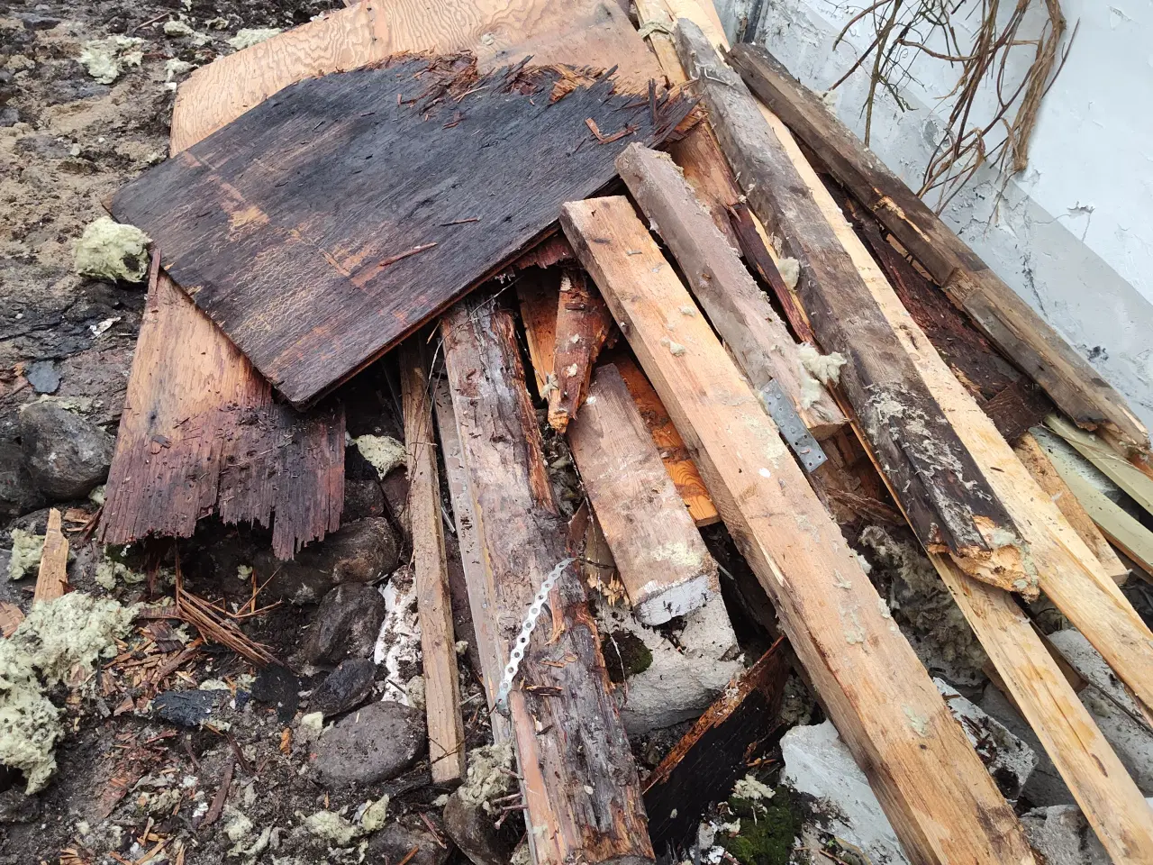 Billede 1 - Gratis nedbrydningstræ