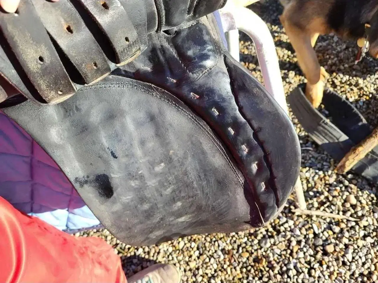 Billede 2 - 🐴 To sadler sælges - Hubertus-sadel