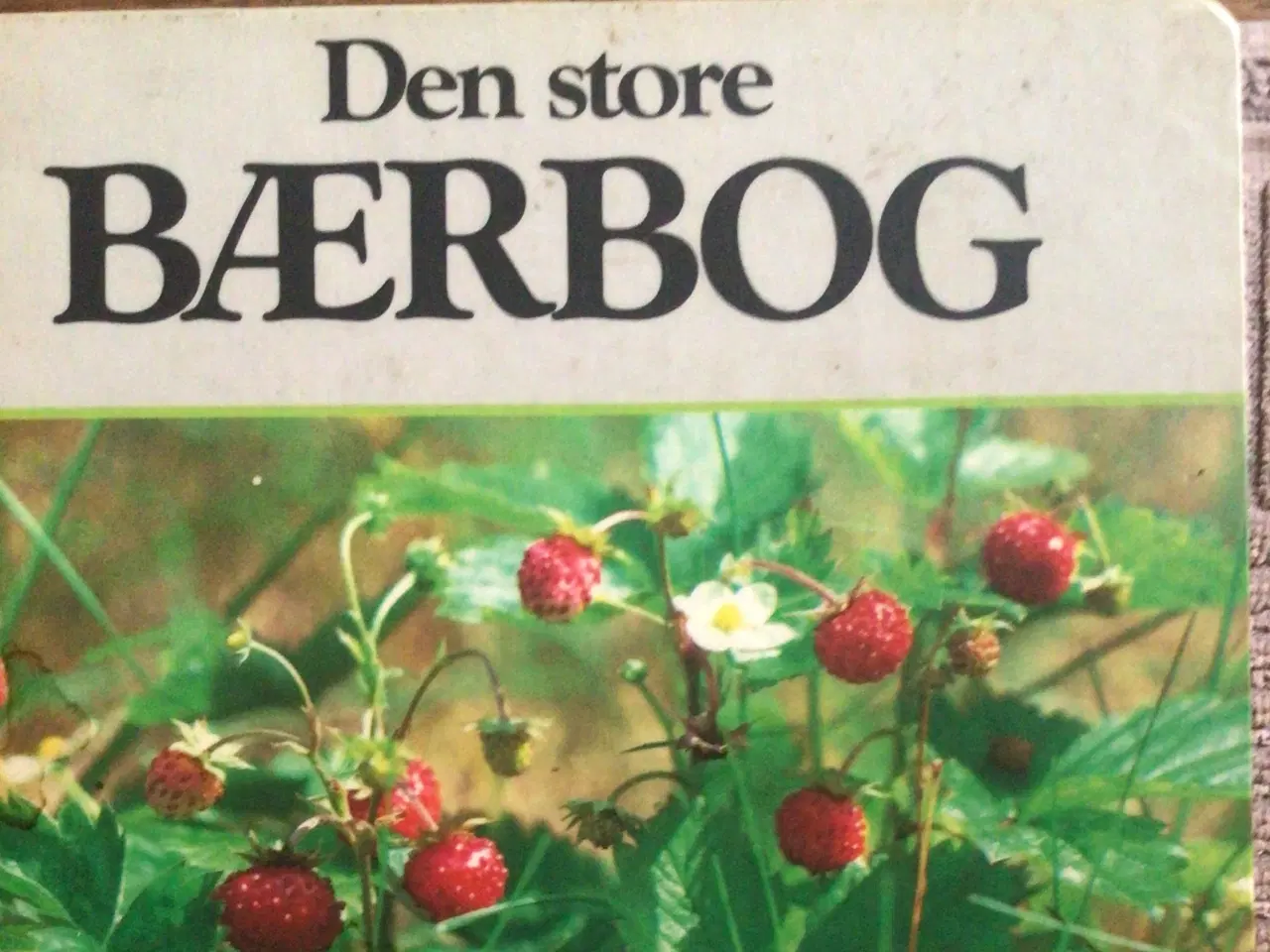 Billede 1 - Den Store Bærbog