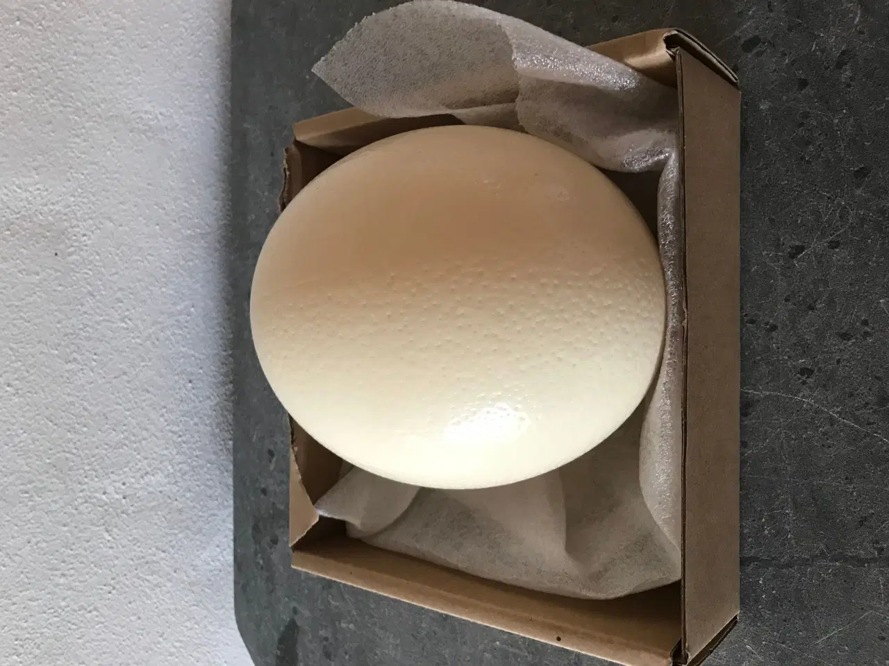 Billede 2 - Udstoppet strudseæg 