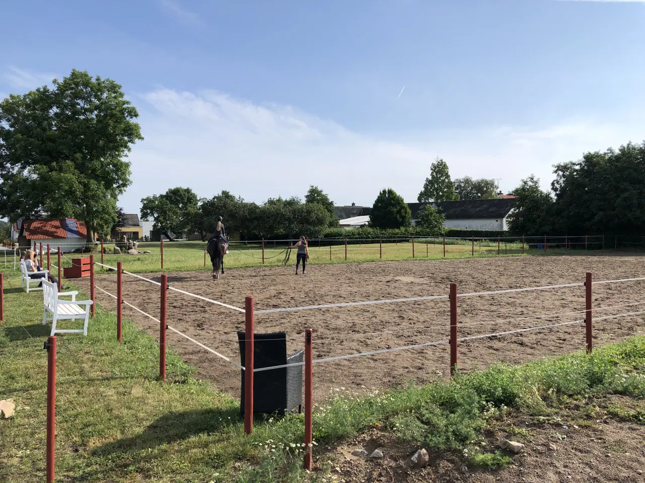 Billede 2 - Opstaldning tilbydes.Rolige og ordentlige forhold