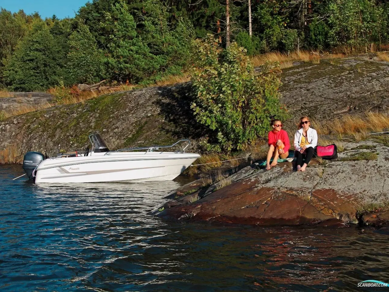 Billede 3 - Yamarin 46 SC