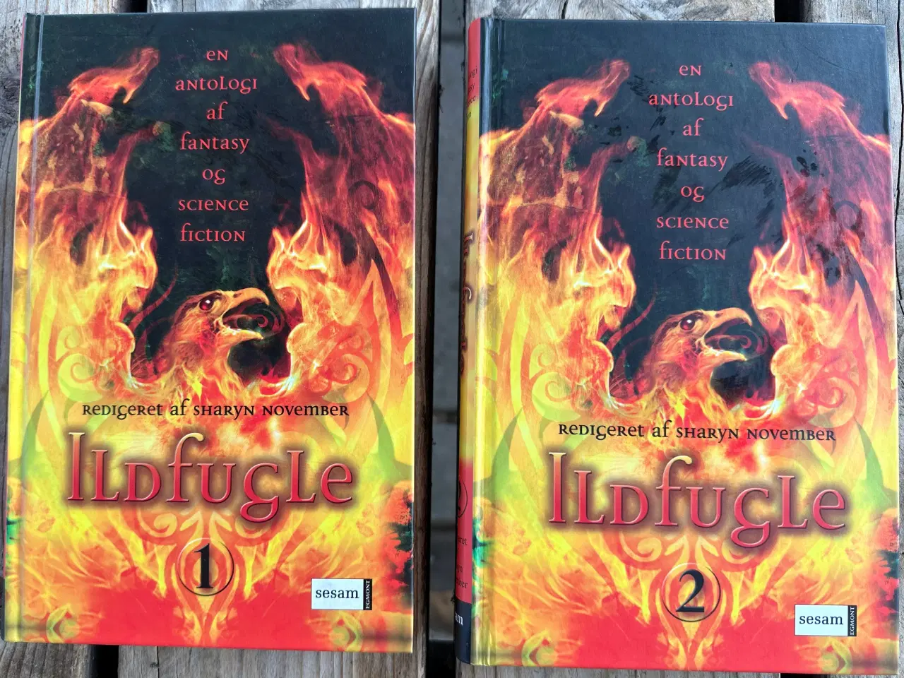 Billede 1 - Isfugle 1+2 – 2 bind  – antologi, noveller fantasy