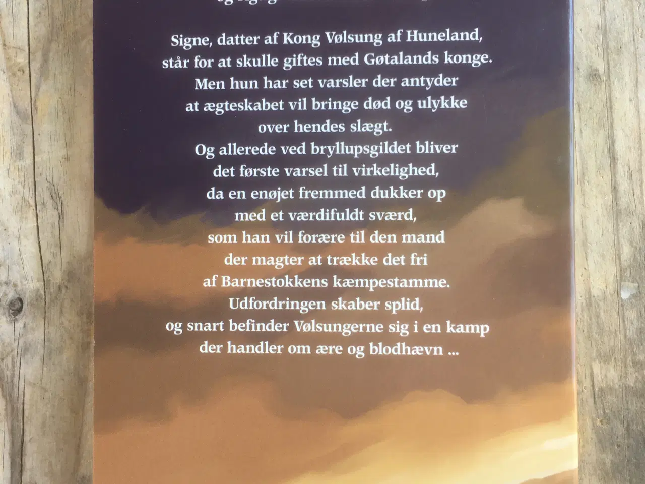 Billede 2 - Sværdet fra odin, Carina Evytt, genre: fantasy