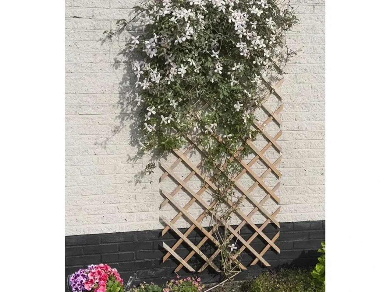 Billede 2 - haveespalier 50x150 cm træ naturfarvet