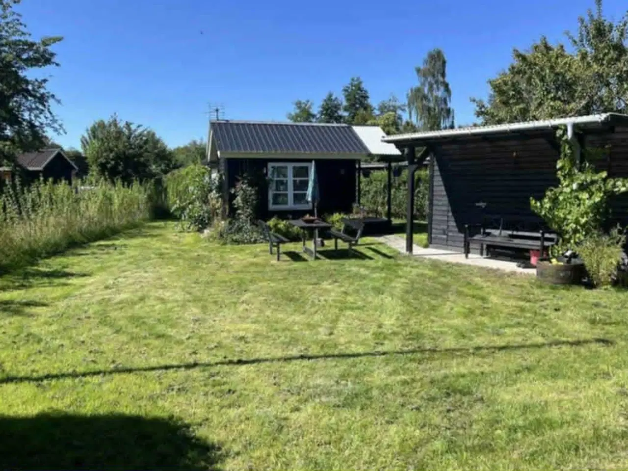 Billede 1 - Kolonihave i naturskønt område, Hanstedå i Horsens