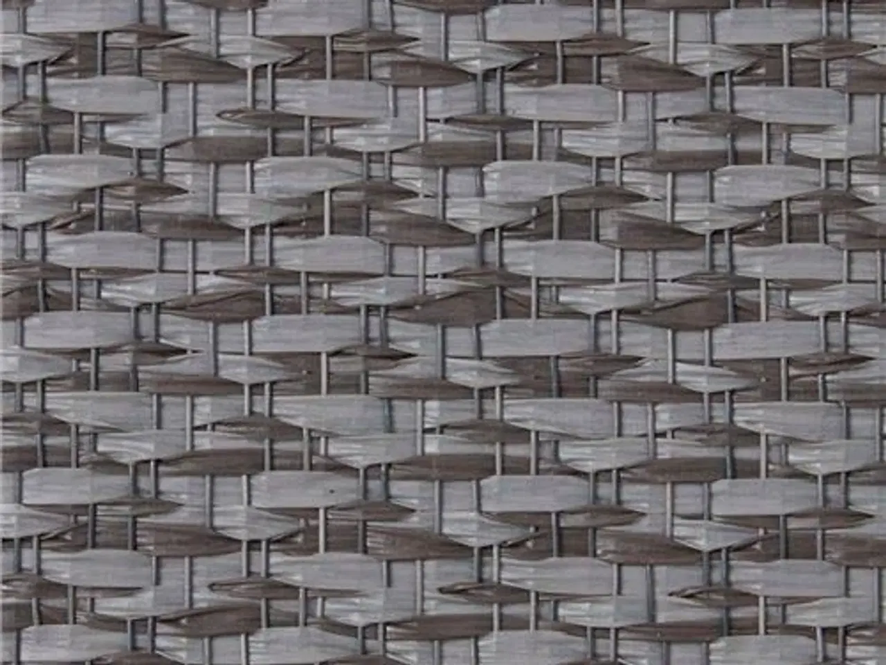 Billede 6 - Isabella Sun Shine plus 