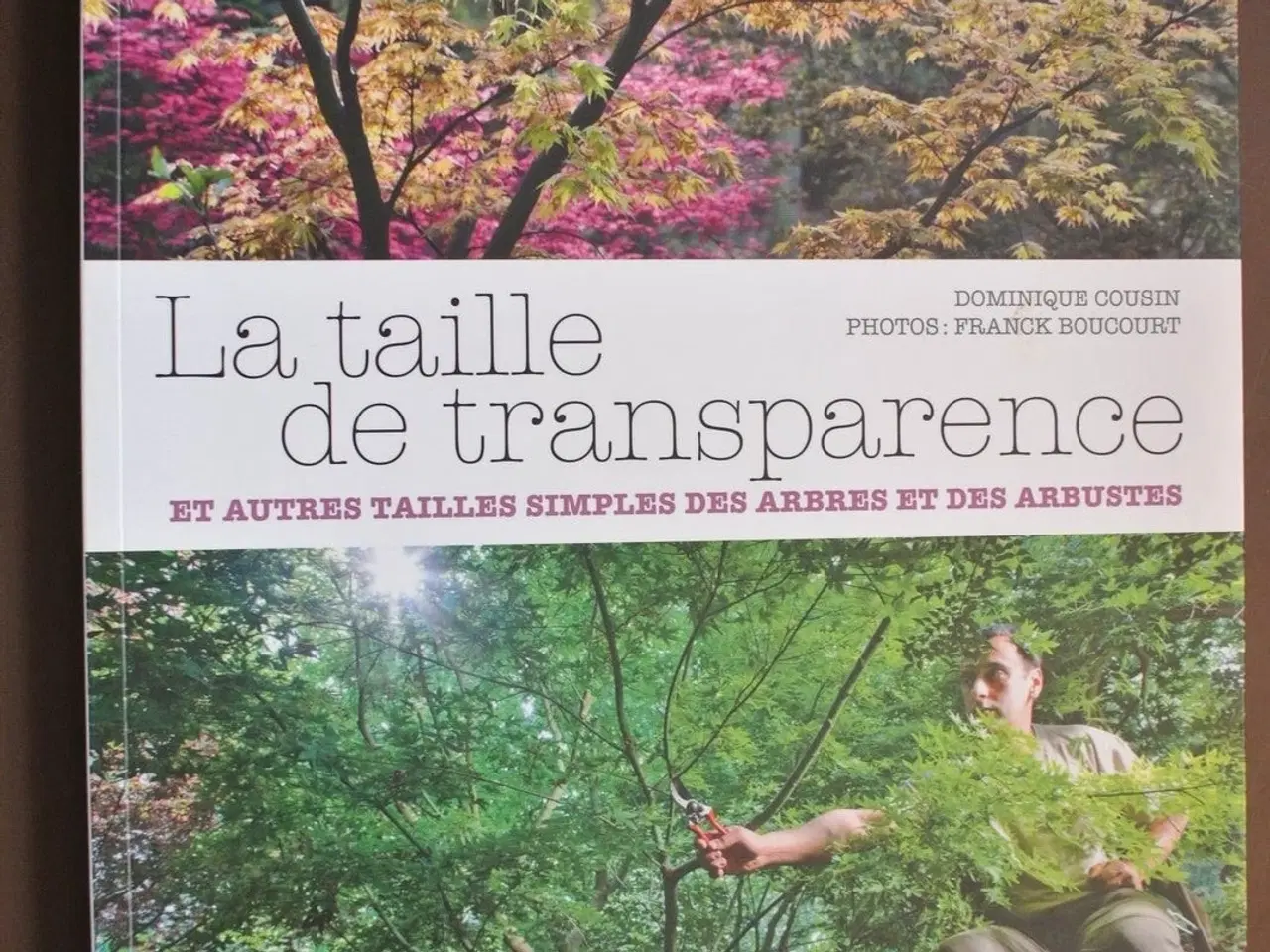 Billede 1 - la taille de transparence et autres tailles simple