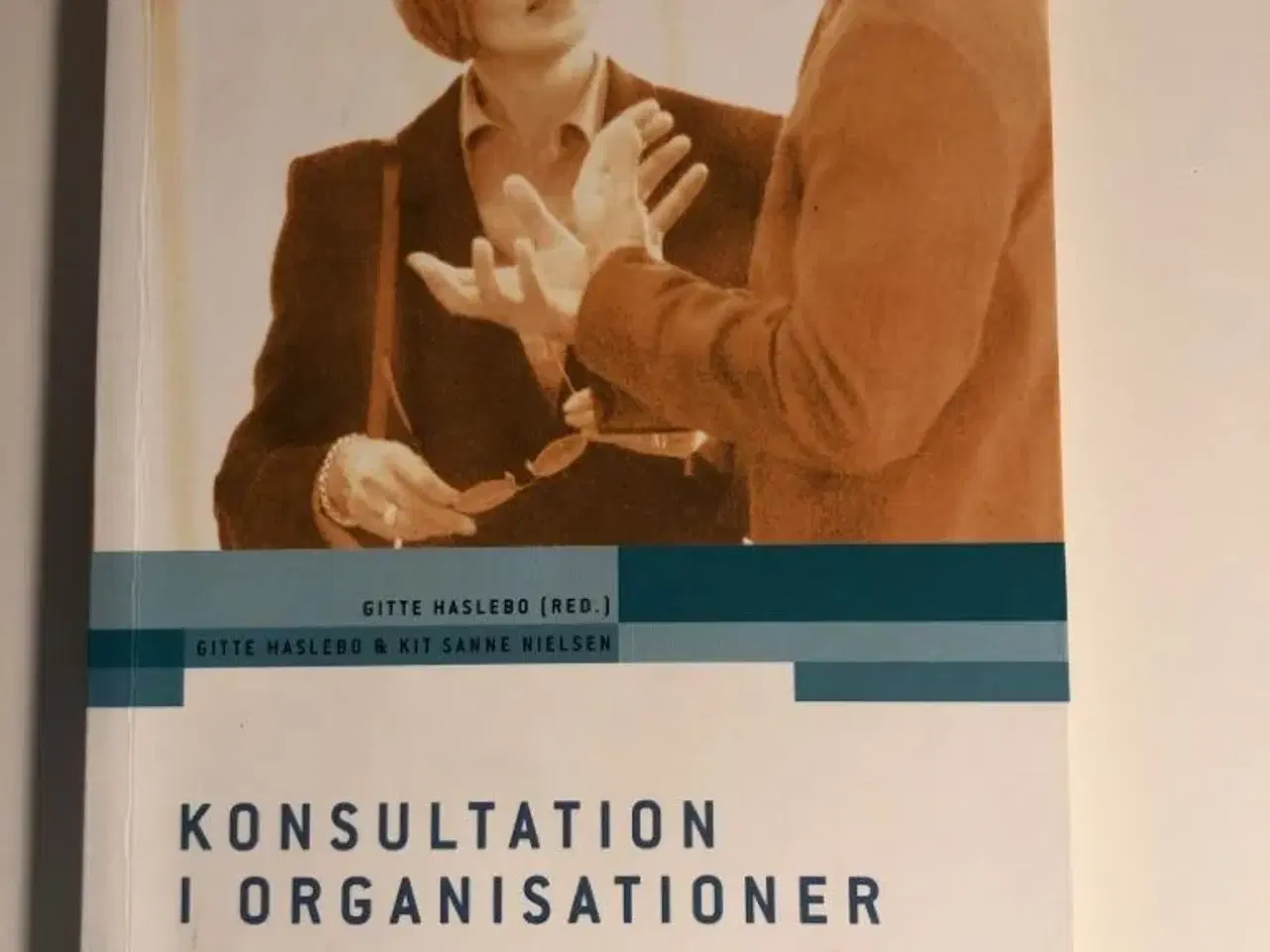 Billede 1 - Konsultation i organisationer