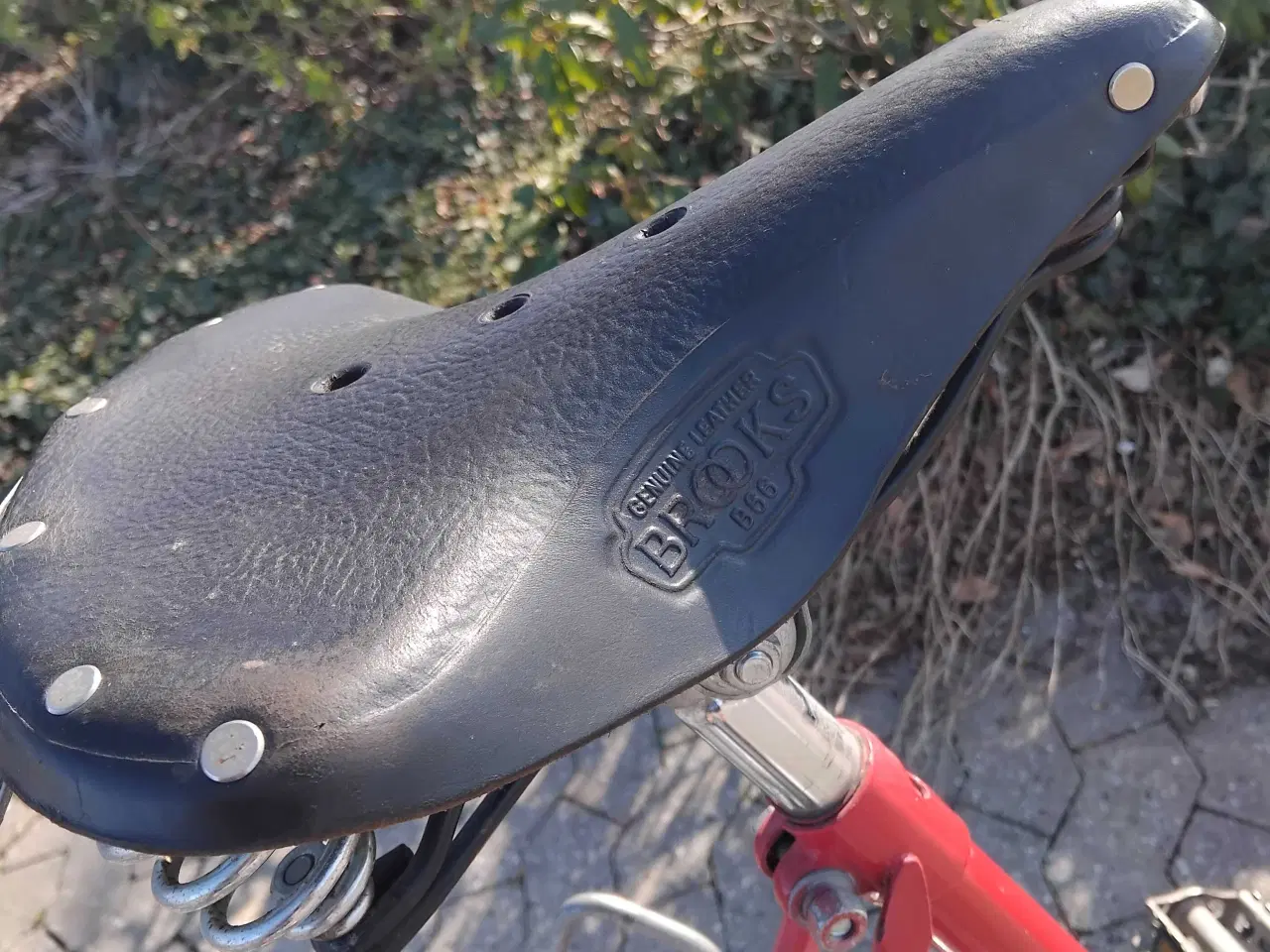 Billede 3 - Sco verdensmester