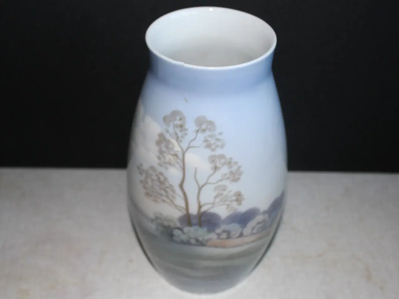 Billede 10 - Vase med landskab fra B&G