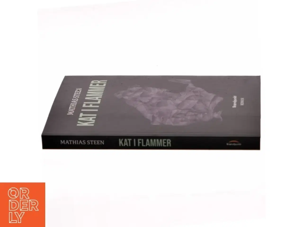 Billede 2 - Kat i flammer : roman af Mathias Steen Hansen (f. 1992) (Bog)