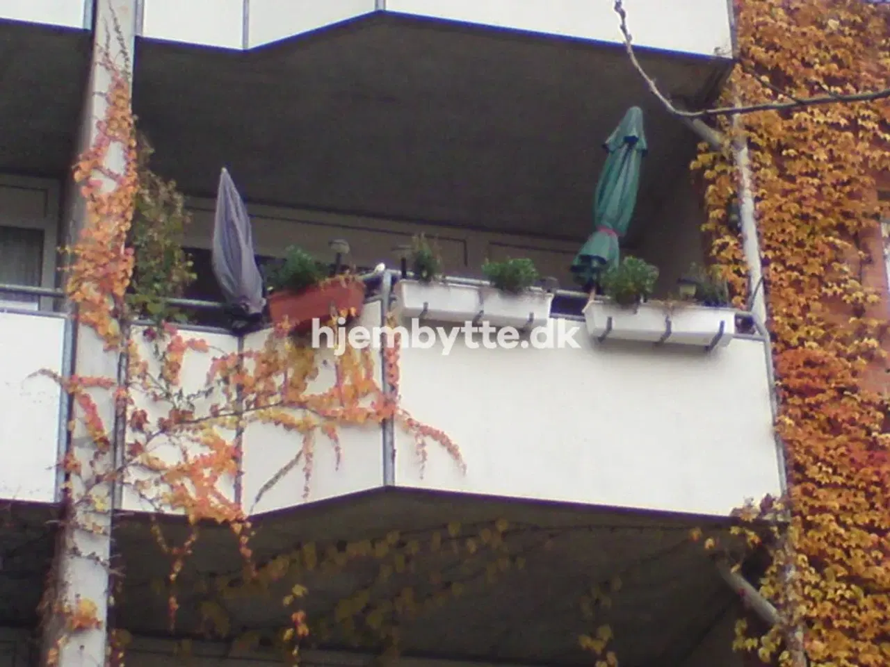 Billede 4 - Hjembytte - Saxogade