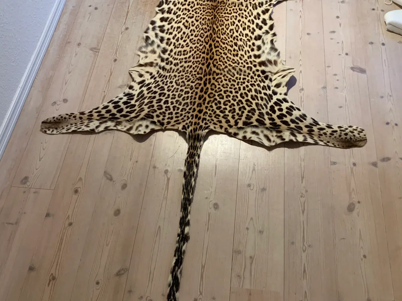 Billede 2 - Leopard Skind