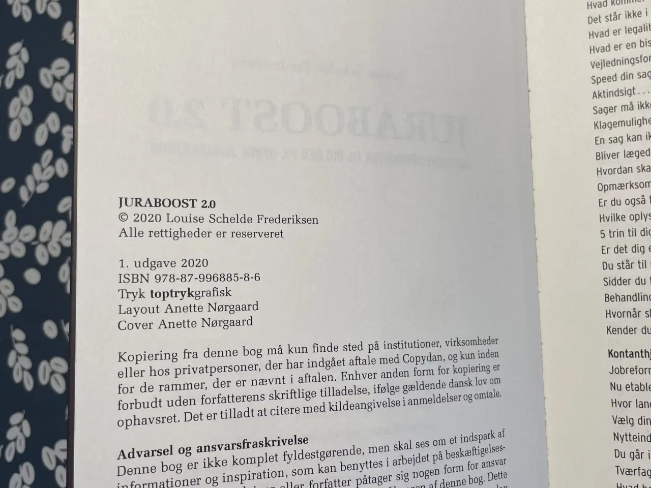 Billede 3 - Juraboost 2.0 af Louise Schelde Frederiksen