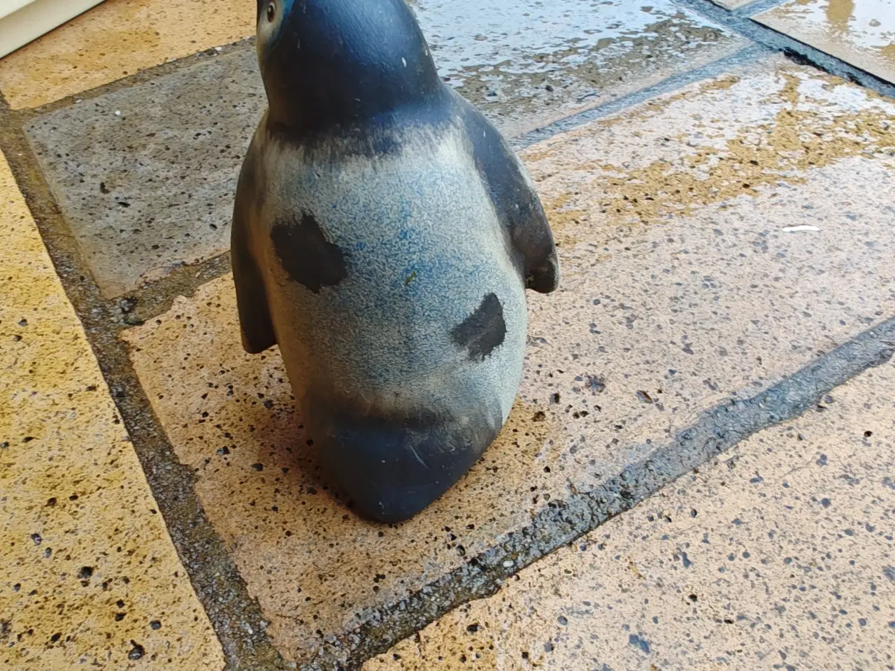 Billede 3 - Pingvin figur