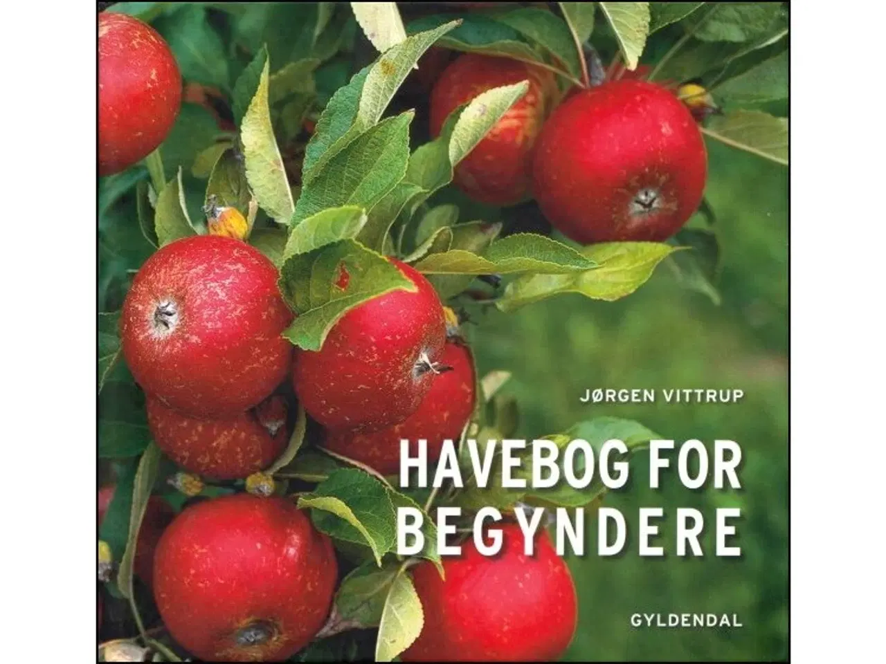 Billede 1 - Havebog for Begyndere