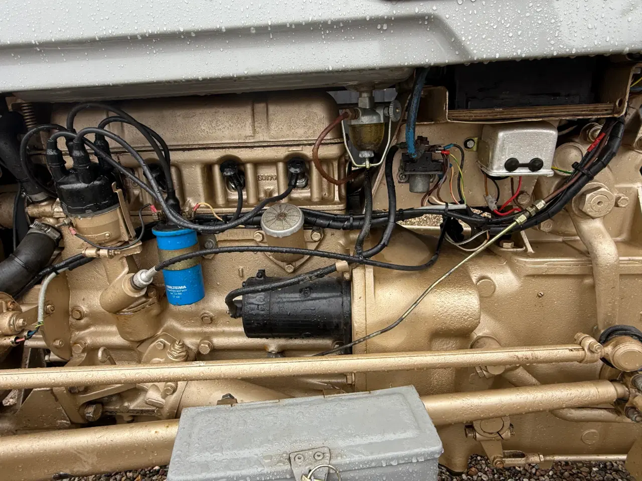 Billede 5 - Ferguson guldfugl