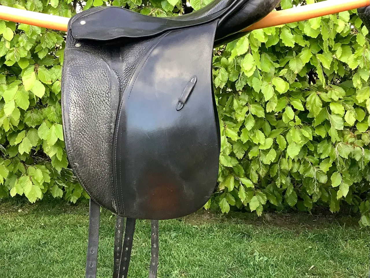 Billede 2 - Passier dr. Sadel 17”