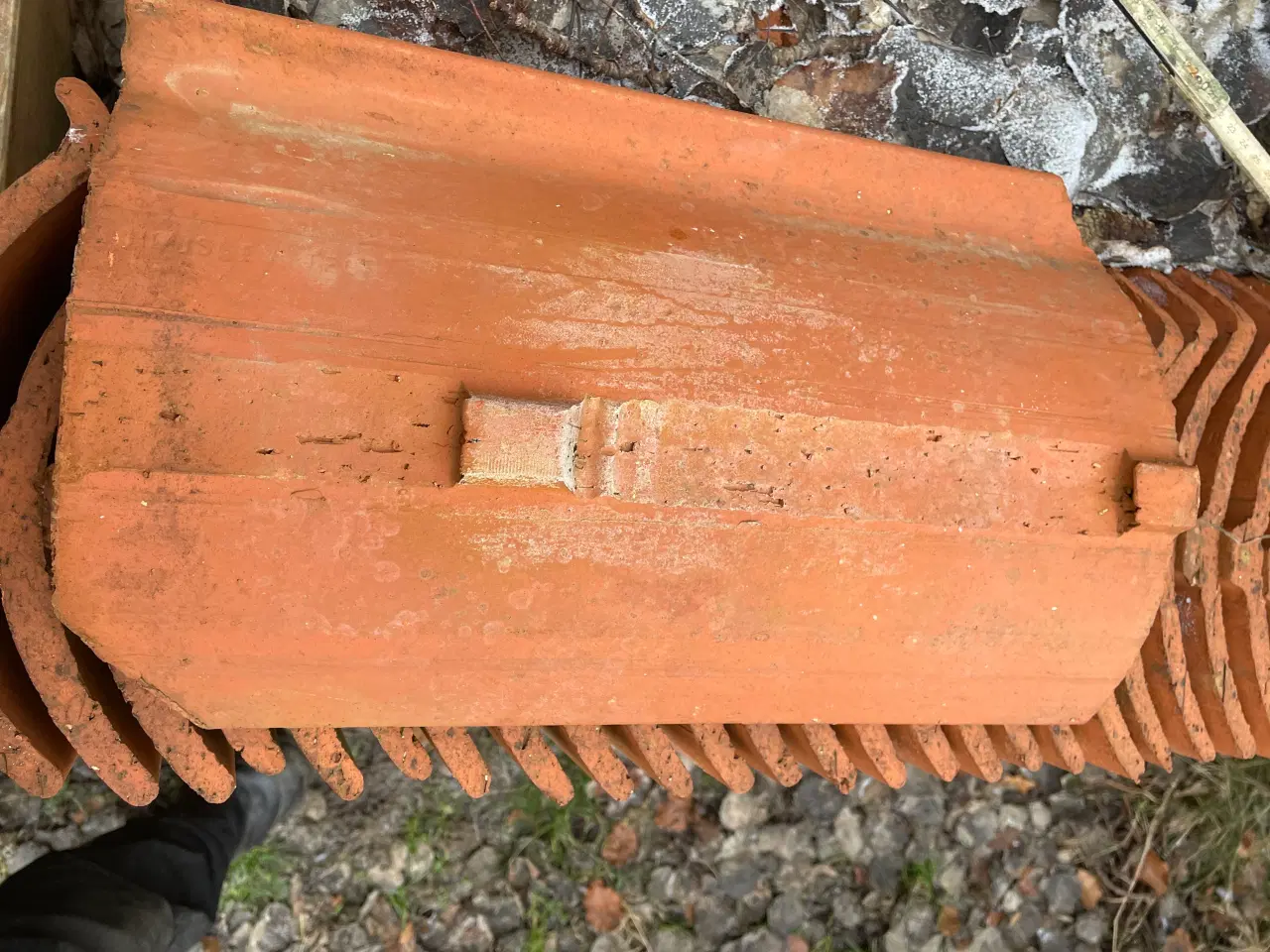 Billede 6 - Dansk vengetegl 