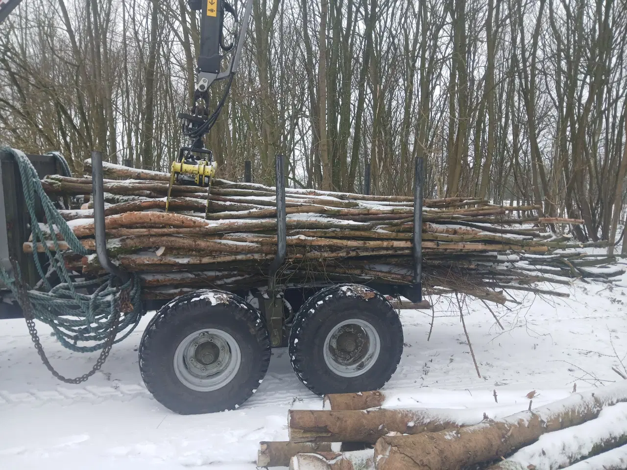 Billede 1 - Frisk fældede tynde stammer af birketræ
