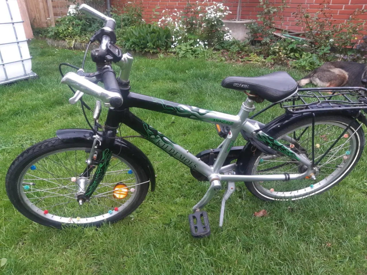 Billede 2 - Kildemoes 20"
