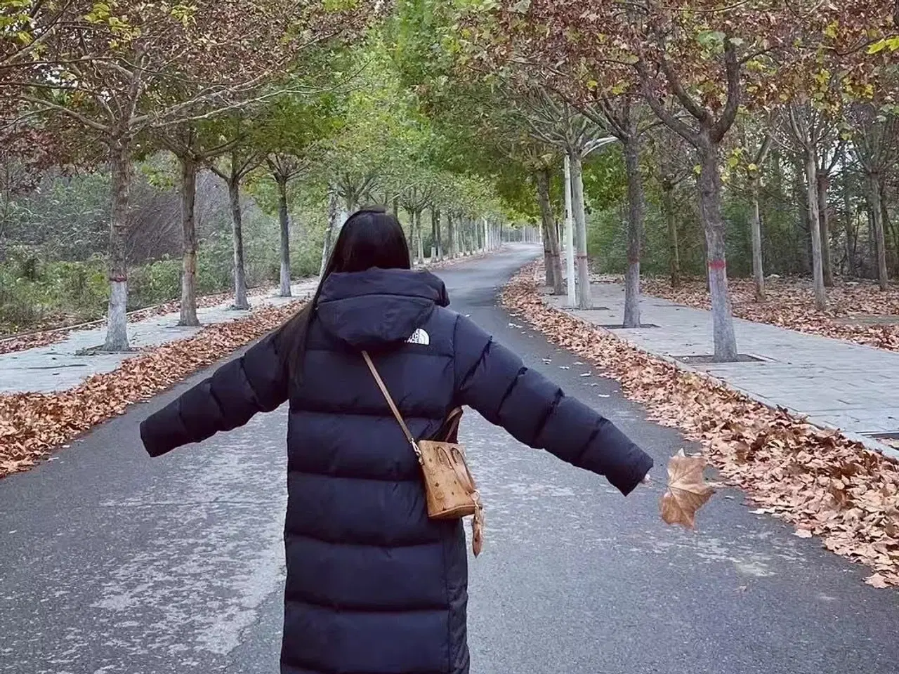 Billede 3 - The North Face lang dunjakke- HELT NY med tag