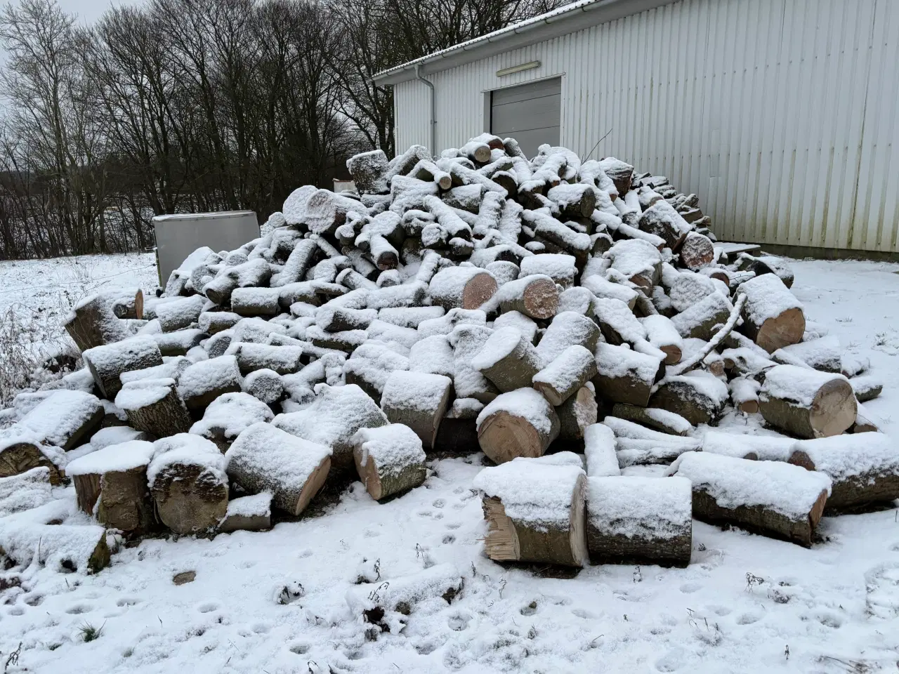 Billede 1 - Brænde sælges ligger i 25-30cm 