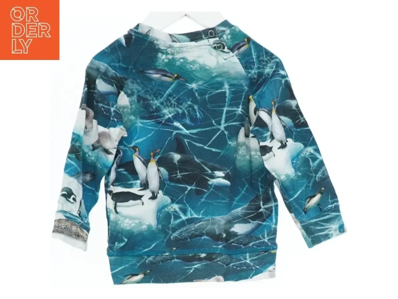 Billede 2 - Bluse med pingvinmønster fra Molo (str. 80)