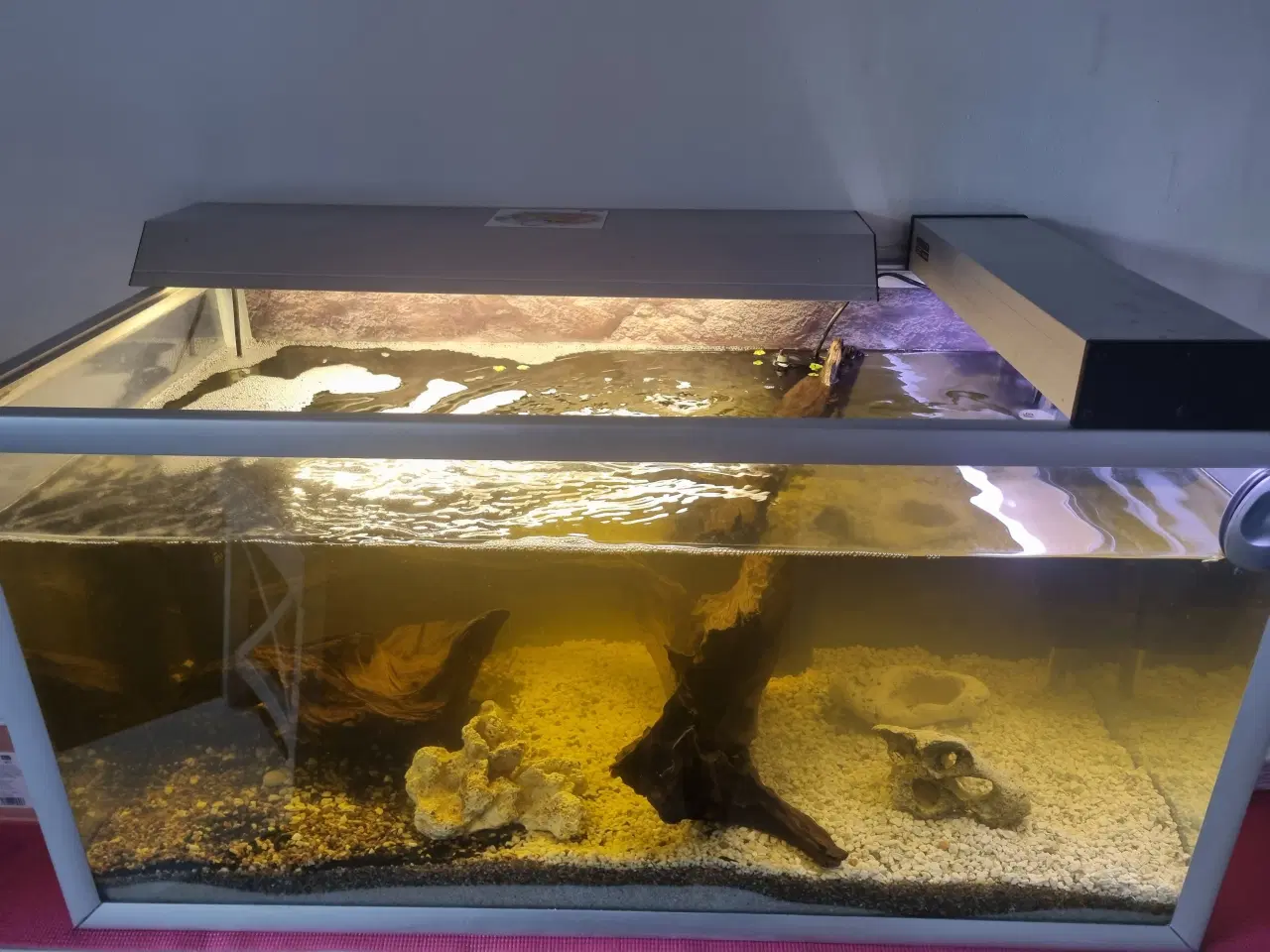 Billede 2 - Akvarie 250L med sand ,grus og dekorationer
