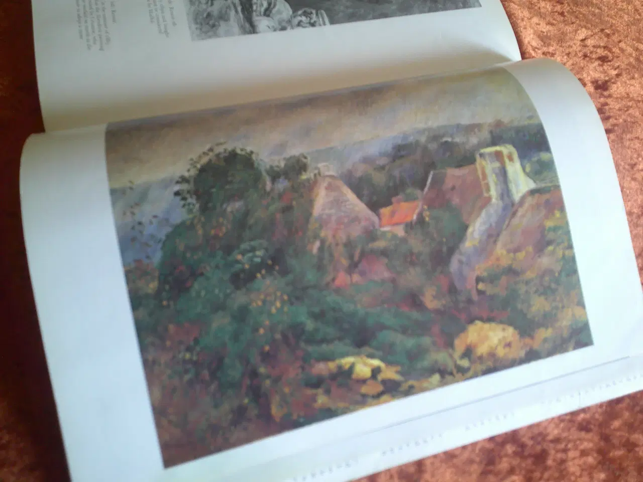Billede 6 - Renoir, Anthea Callen