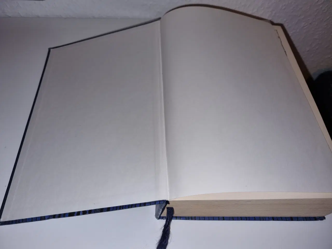 Billede 8 - Walter Moers - Kaptajn Blåbjørns 13 1/2 liv