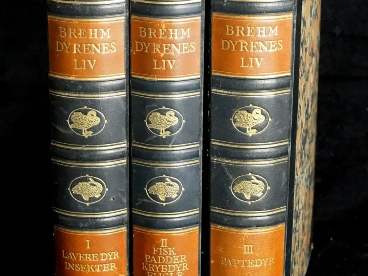 Billede 9 - Gode Brugte Bøger 