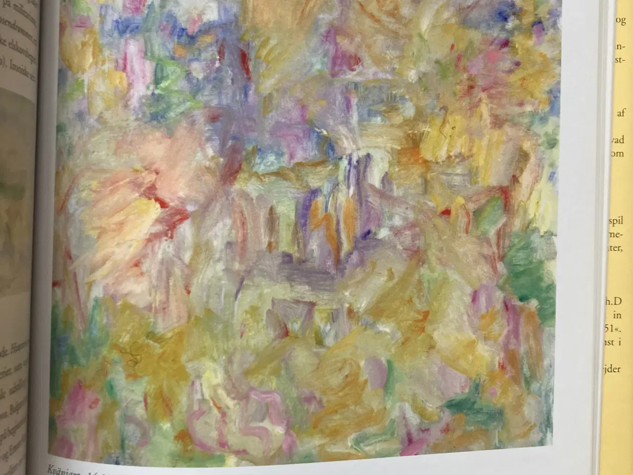 Billede 5 - Erik Ortvad bog