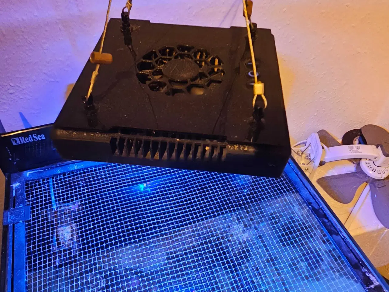Billede 6 - Red Sea AIO 75 liter saltvandsakvarie