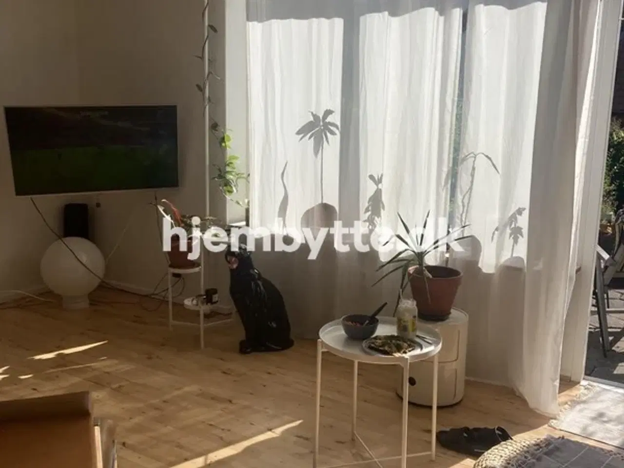 Billede 2 - Hjembytte - Torsvang