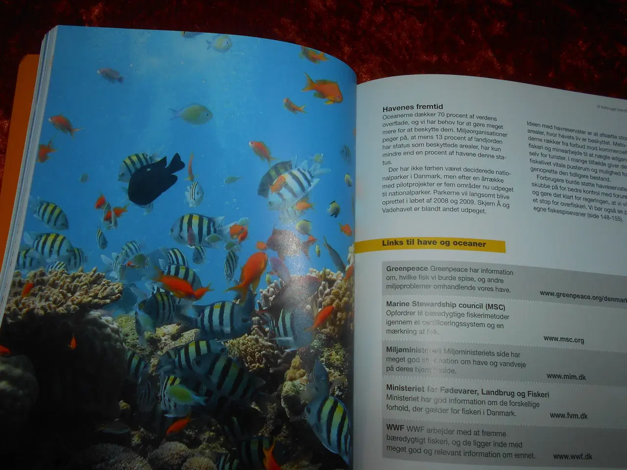 Billede 2 - Den nye grønne forbrugerguide, Julia Hailes