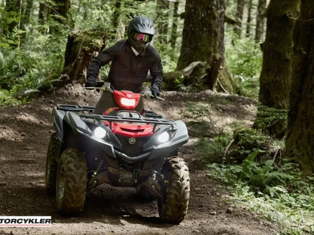 Billede 10 - Yamaha Grizzly 700 EPS Traktor