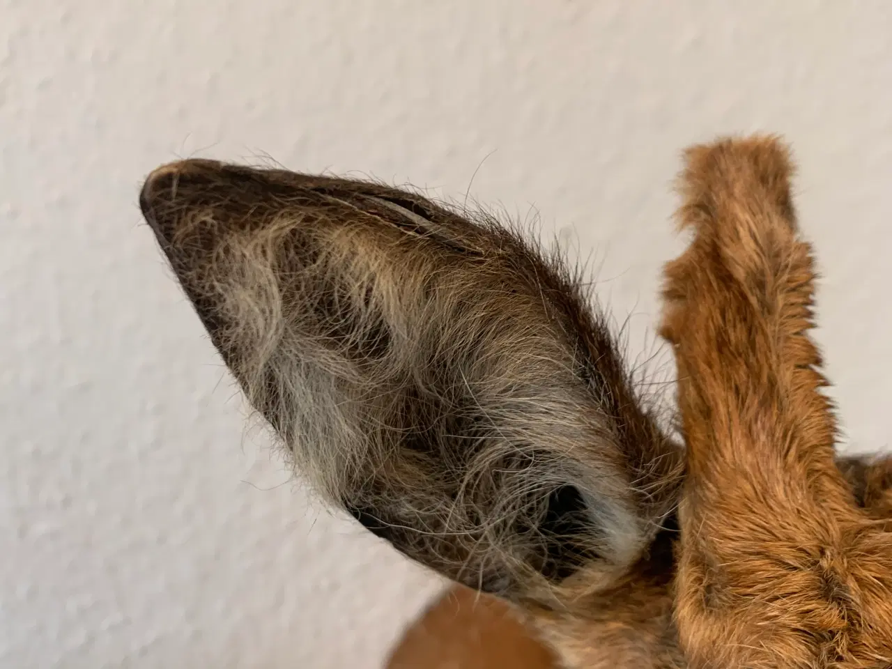 Billede 6 - Parykbuk skuldermonteret