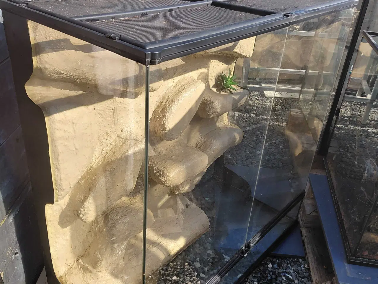Billede 2 - Terrarium 
