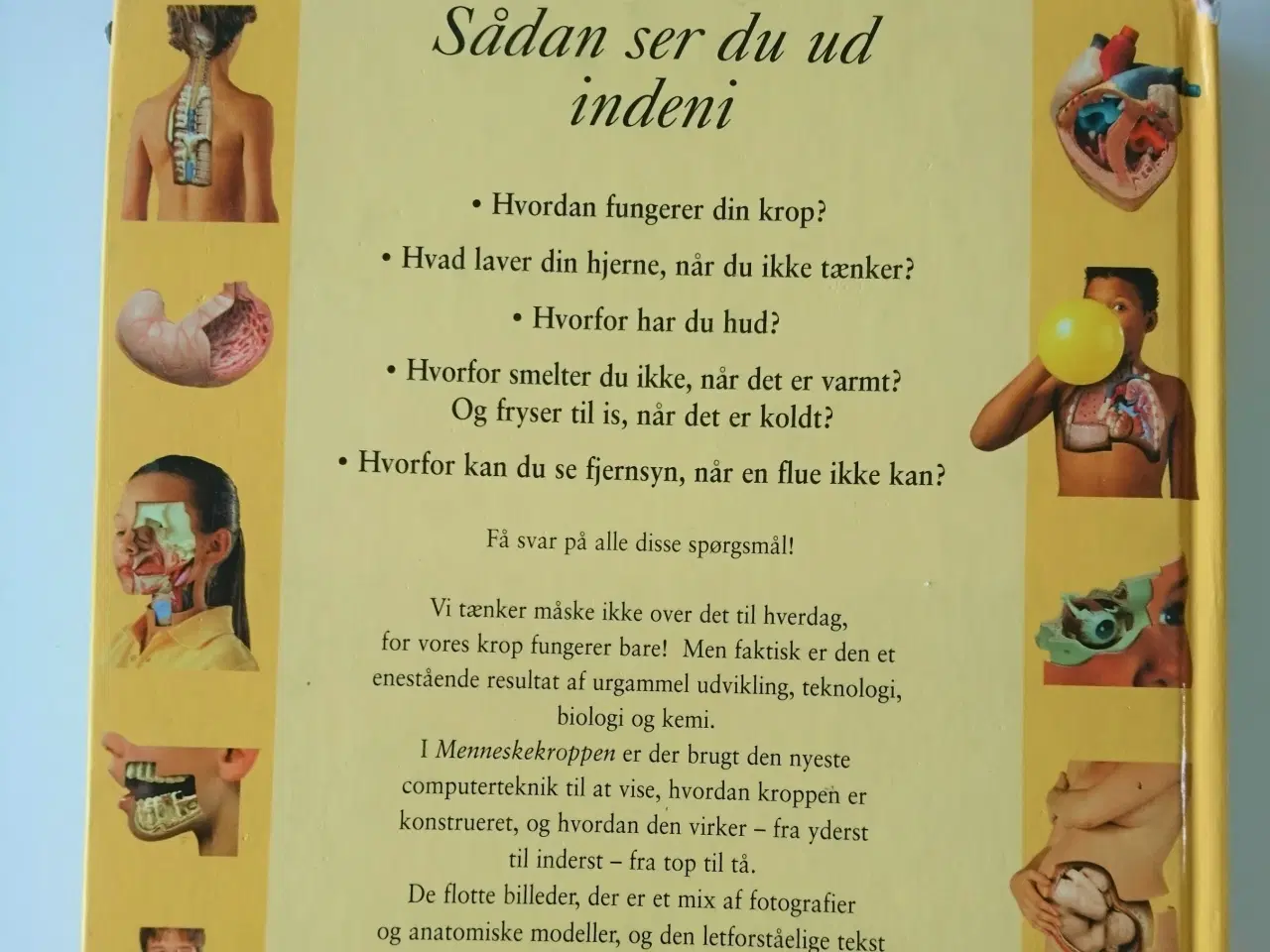 Billede 2 - Menneskekroppen - et spændende kig ind i dig selv!