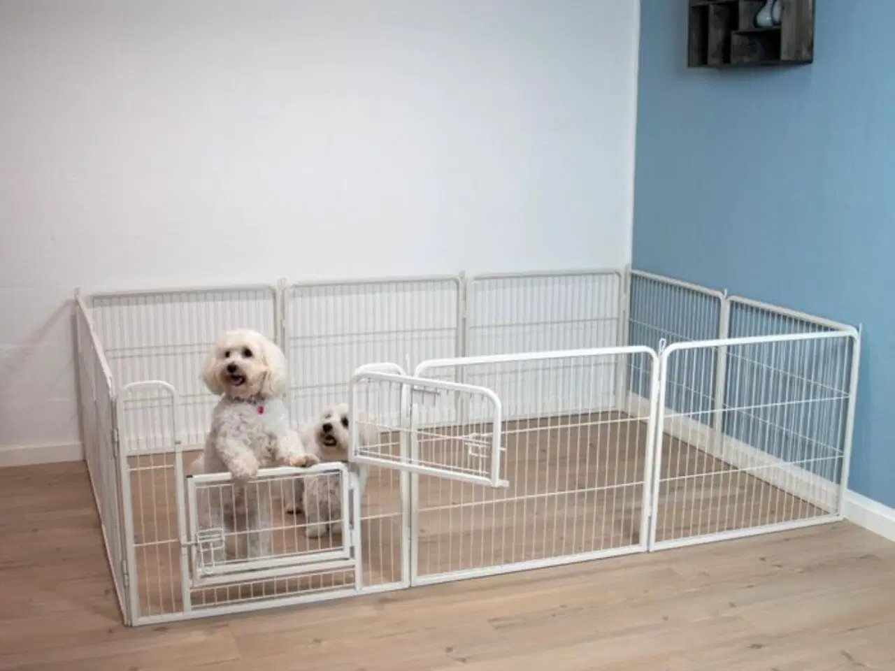 Billede 1 - Hunde kravlegård (NY) 