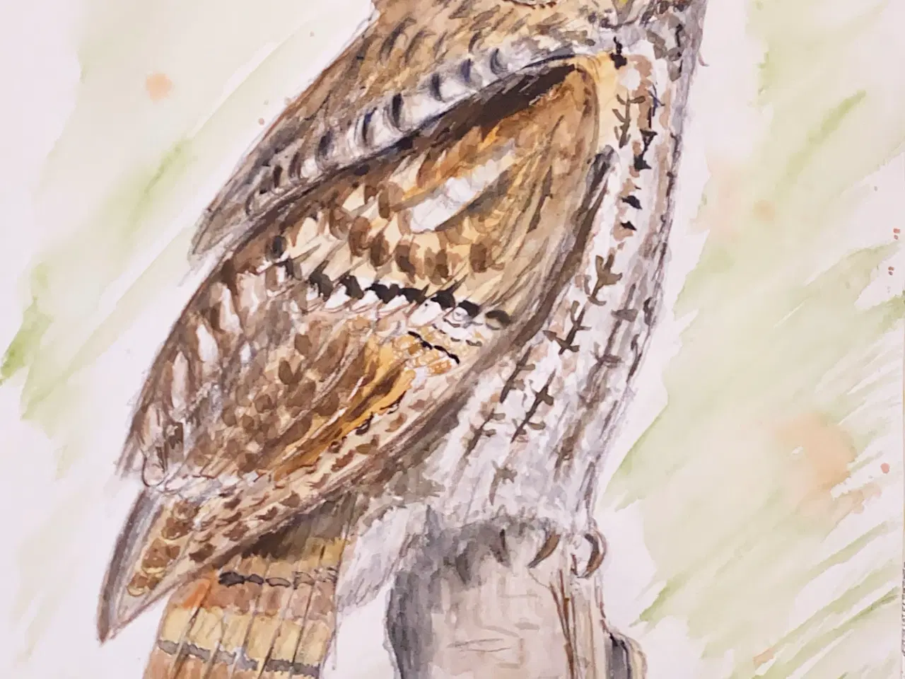 Billede 15 - Akvareller 