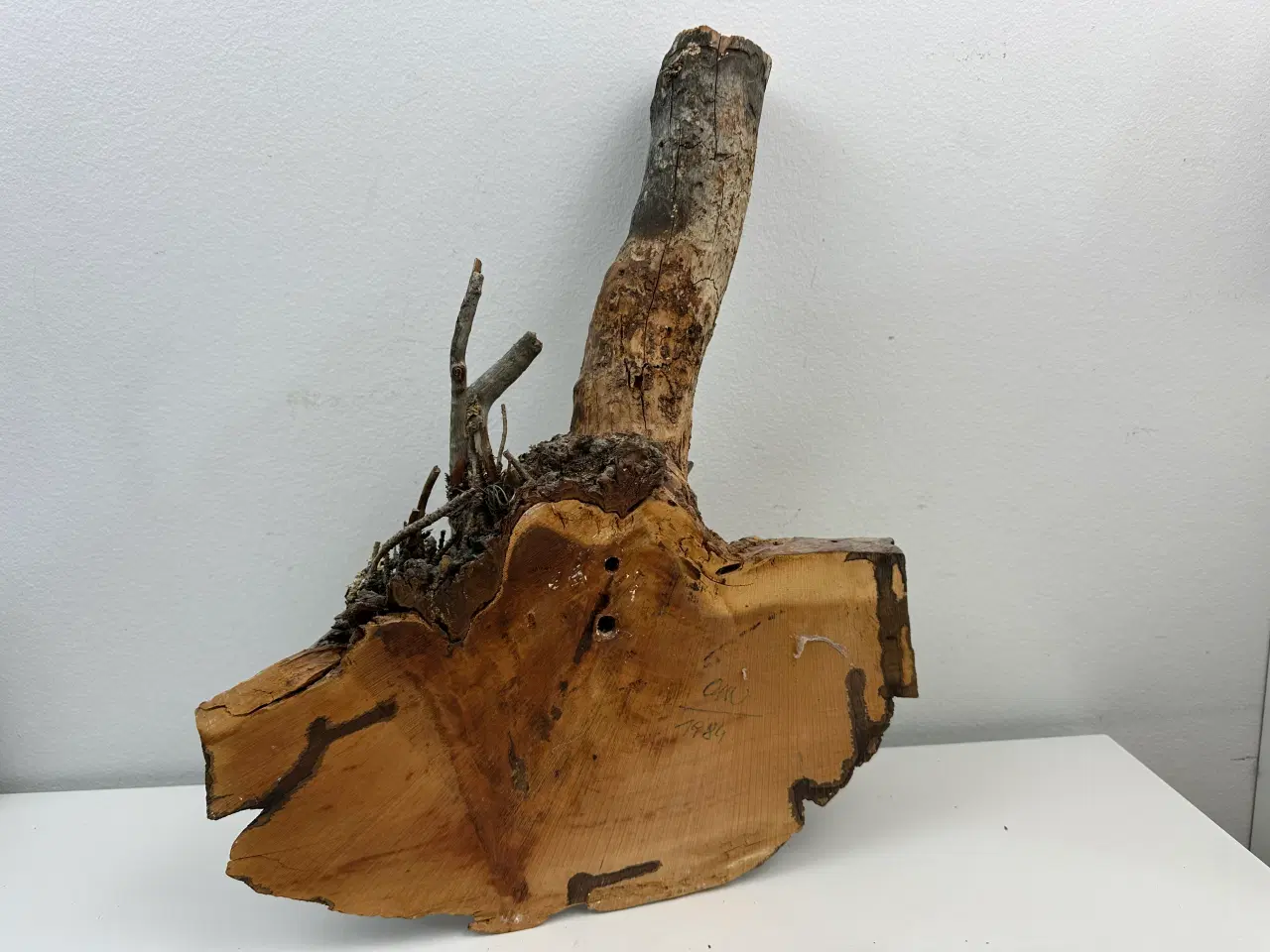 Billede 8 - Unik træmaske af træstub