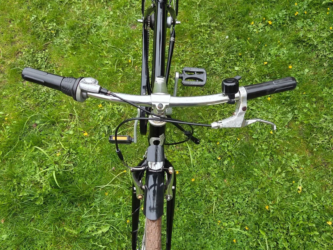 Billede 5 - EVERTON 53 cm 