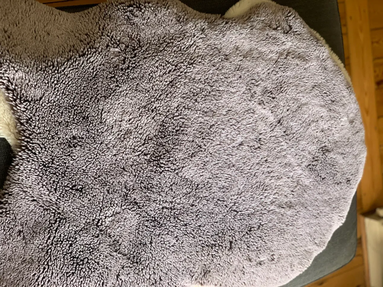 Billede 4 - 3 flotte lammeskind sælges – for kun 200 kr.